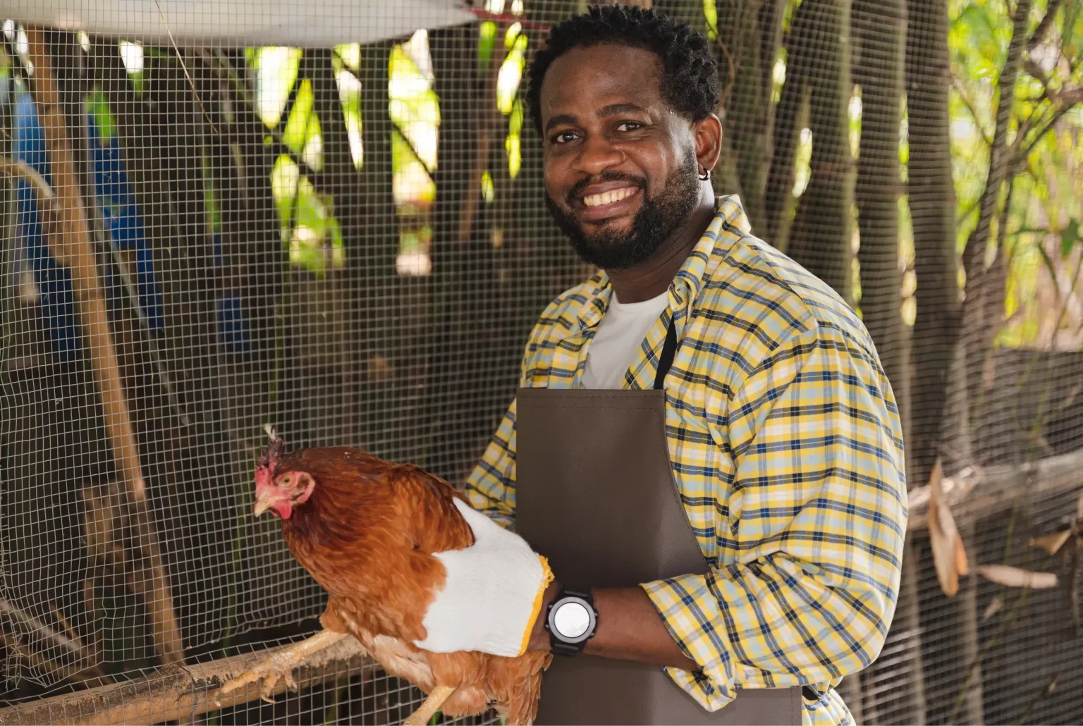 How To Start A Poultry Farm In Nigeria A Complete Step By Step Guide