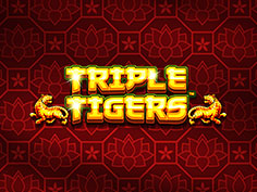 Triple Tigers Gra slotowa Zagraj w wersję demo slotuTriple Tigers online