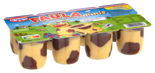 Paula Minis Pudding Vanillegeschmack Mit Schoko Flecken Paula Dr