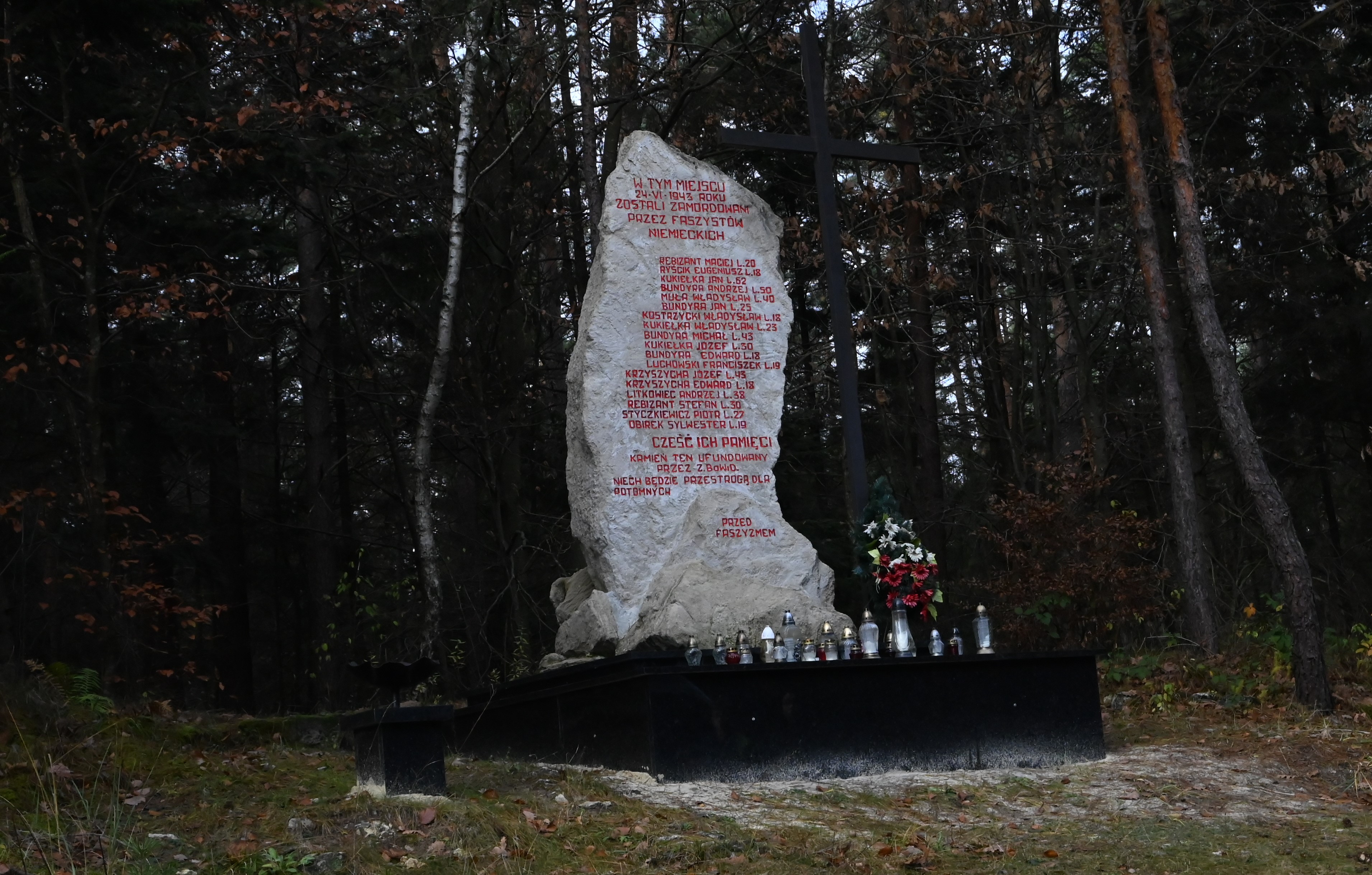 Blizny historii. Ślady II wojny światowej i nie tylko w naszej okolicy | Obelisk z białego kamienia na czarnym postumencie. Na obelisku czerwony napis mówiący, że pamięci zamordowanych. Obok obelisku duży, czarny krzyż. W tle ciemna ściana lasu..JPG