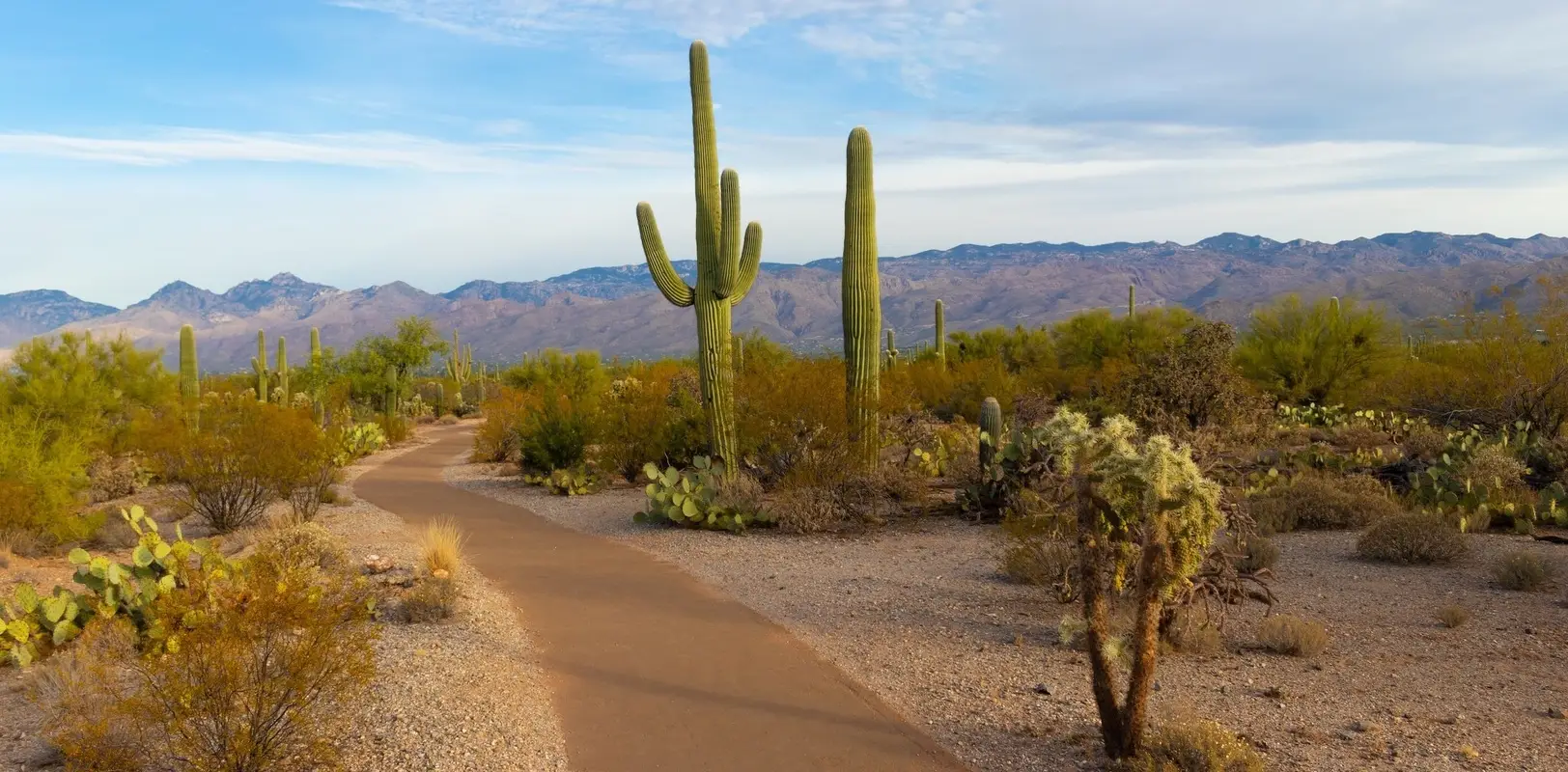 Alquileres en la zona del desierto