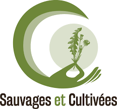 Logo de Sauvages et Cultivées, le commanditaire de l'exposition 2023