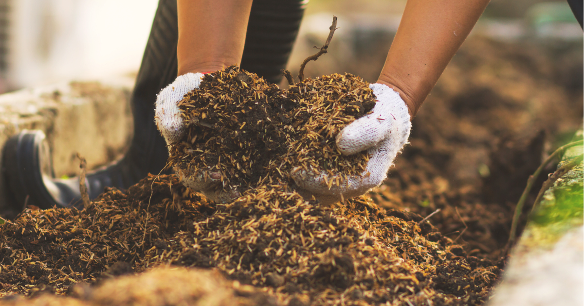 Harvesting Finished Compost.png
