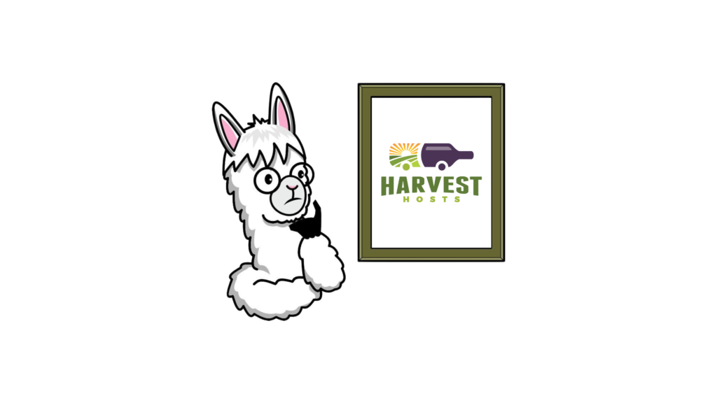 wp-content-uploads-2022-07-Get-To-Know-HaRVey-the-Alpaca-2-1024x576.png