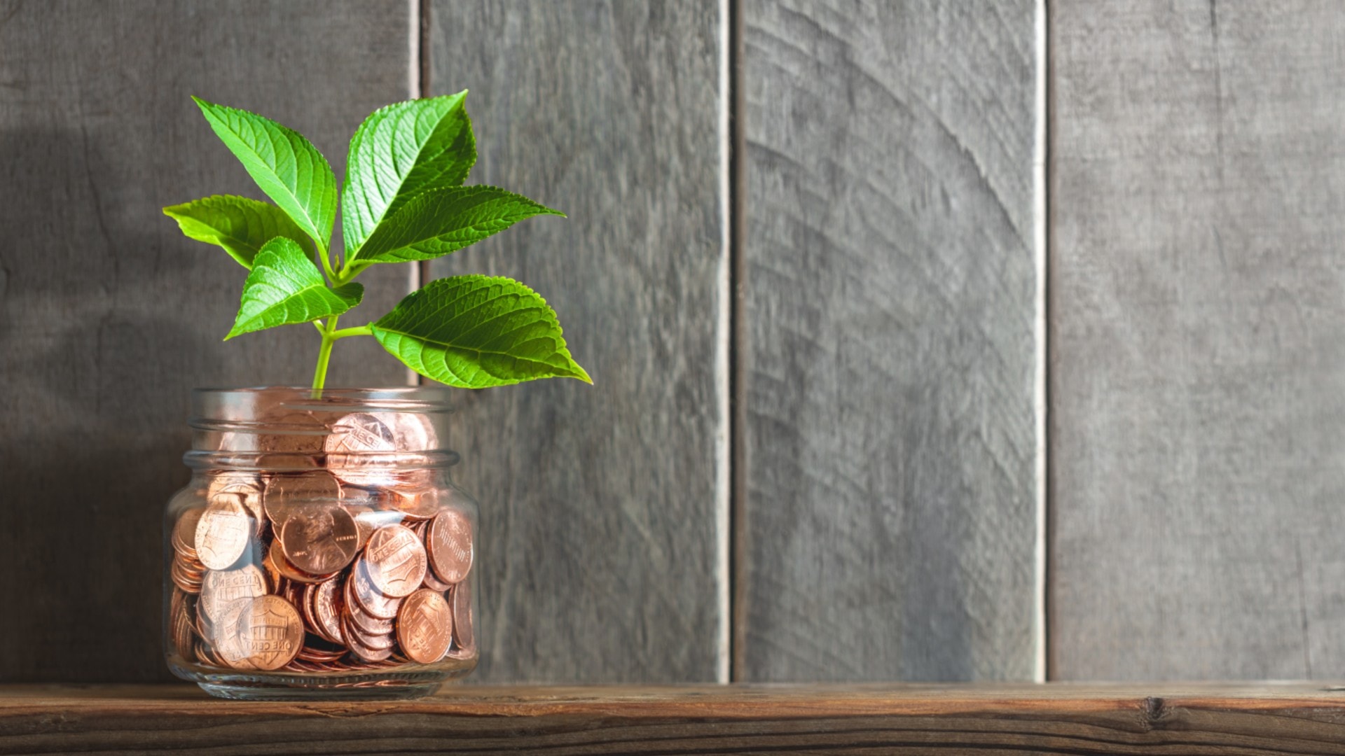 Everything You Need To Know About How to Raise Seed Capital