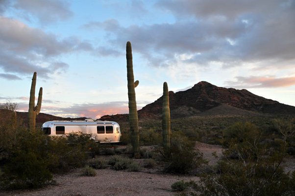 Organ Pipe Cactus National Monument has lots of great boondocking nearby.