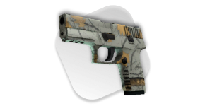 Compra Skins De CS:GO Modern Hunter | DMarket