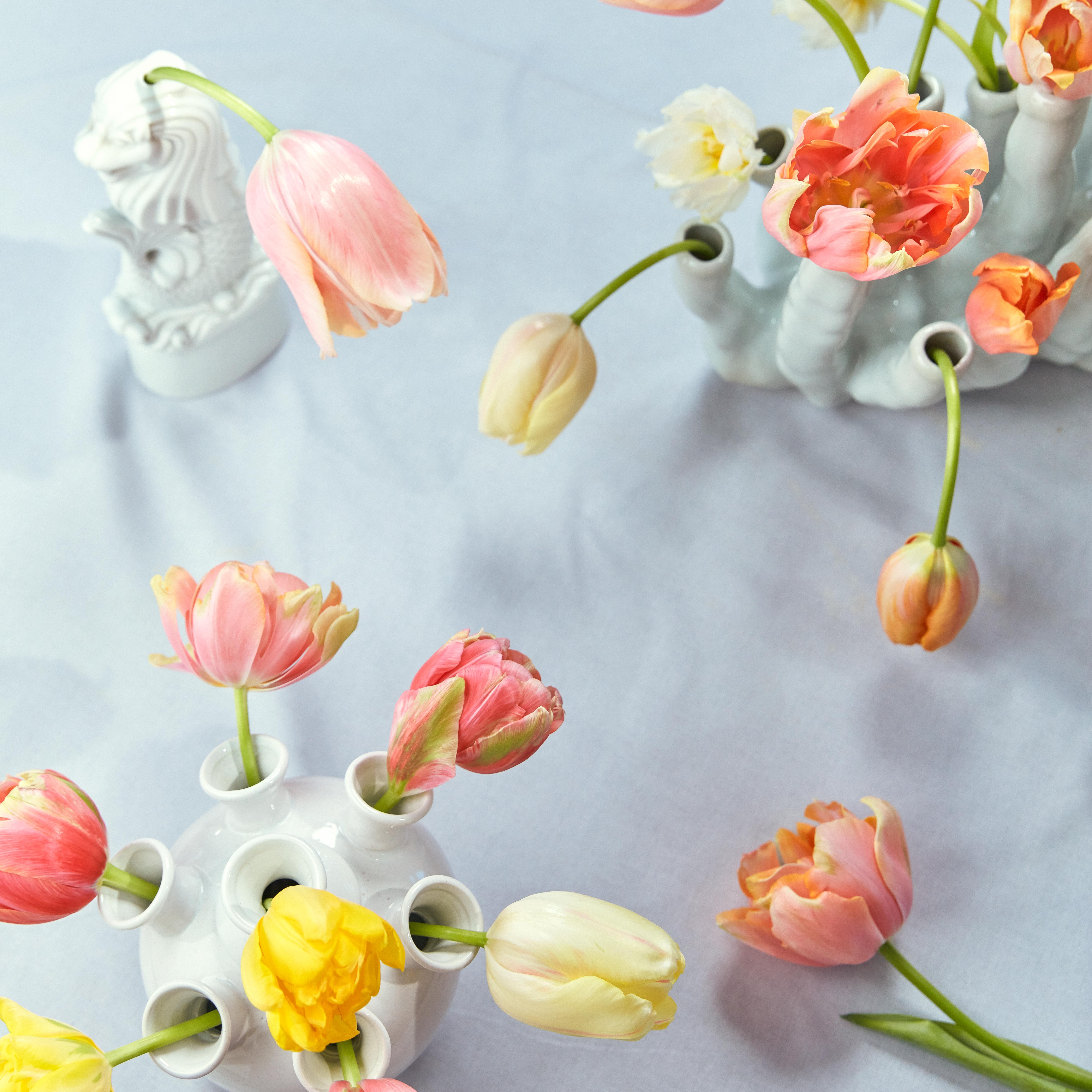 Les tulipes aux multiples couleurs et aux formes variées ©Photo lajoiedesfleurs.fr