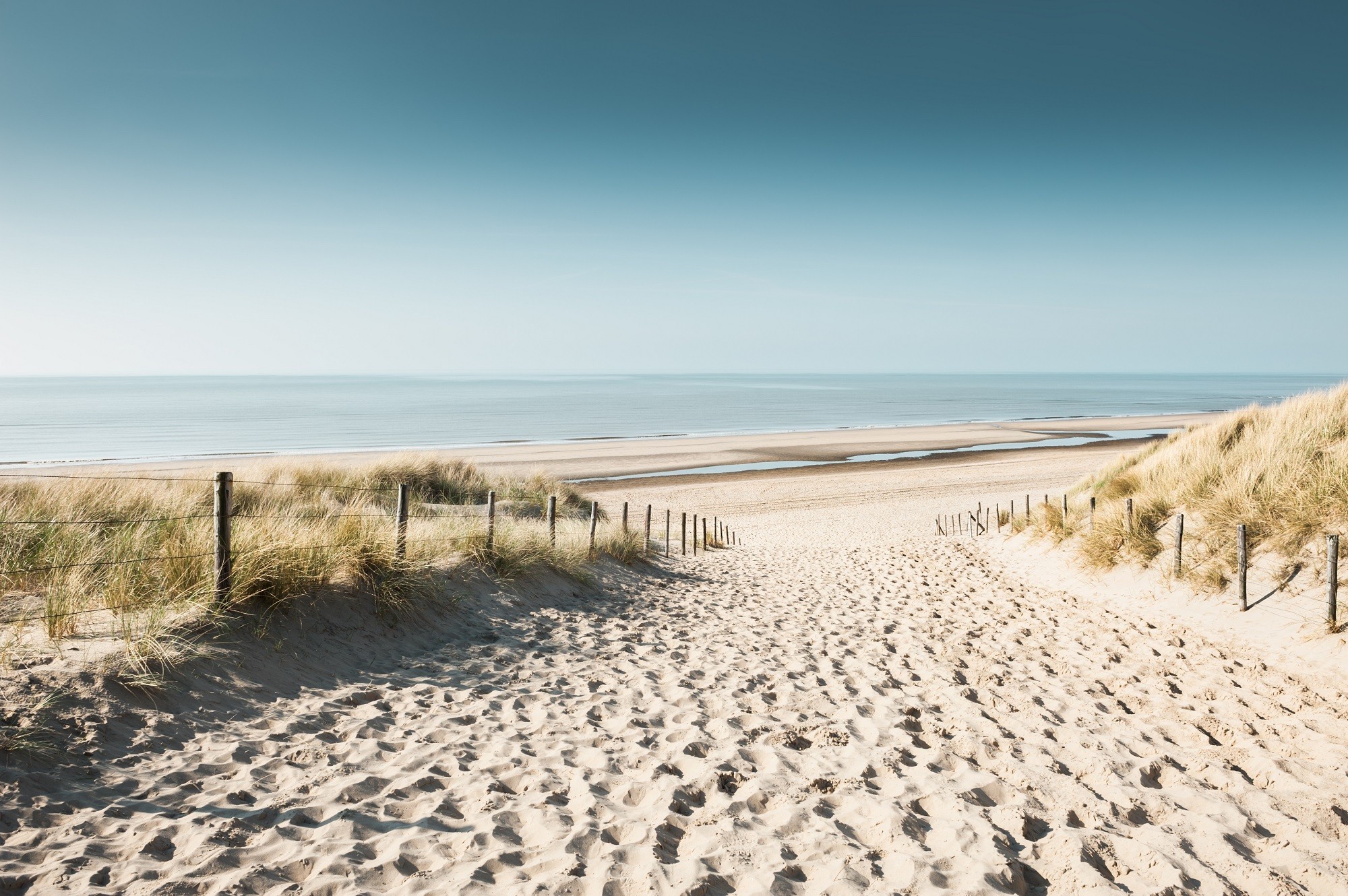 Noordwijk (2).jpg