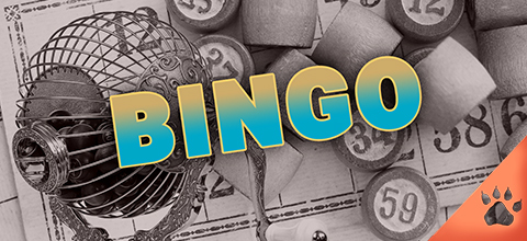 Il gioco del bingo, storia e segreti (Guida aggiornata al 2023) | News & Blog LeoVegas