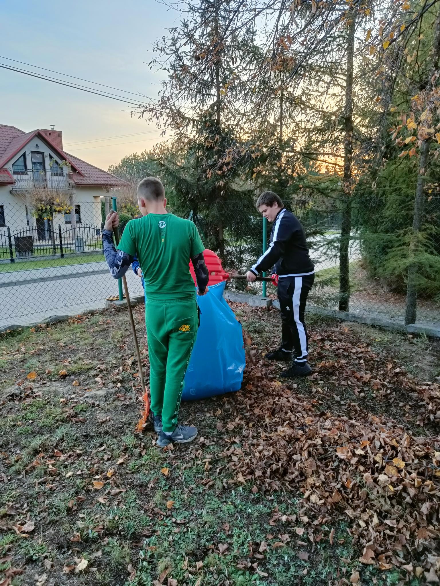 Pamiętamy... | Dwóch chłopców przekłada do niebieskiego worka na śmieci zgrabione liście. W tle iglaki i zabudowania..jpg