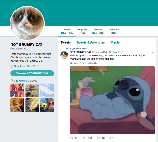 Adwizar Grumpy Cat Twitter