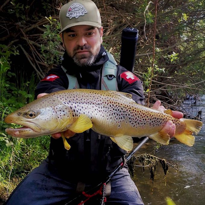 rapala testbericht peppe forelle Kopie.jpg