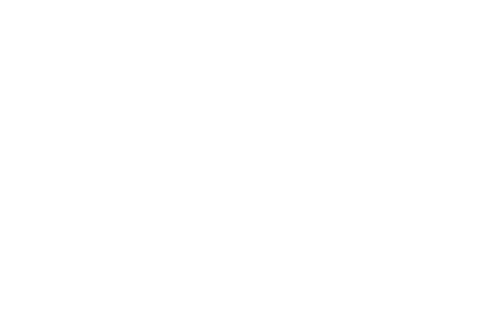 Raycast logo