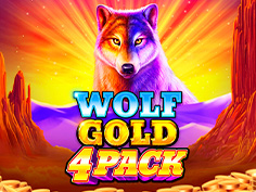 Wolf Gold 4 Pack