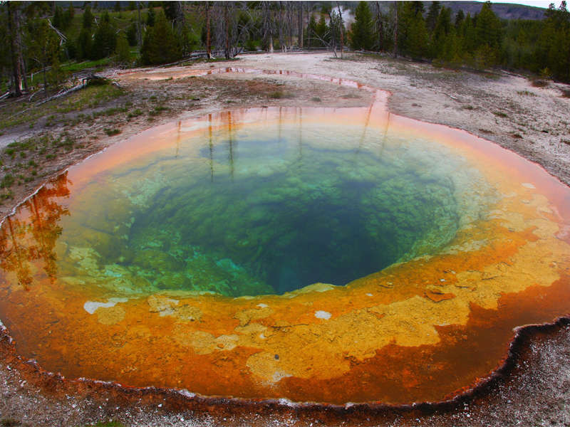 Yellowstone Morning Glory Pool 