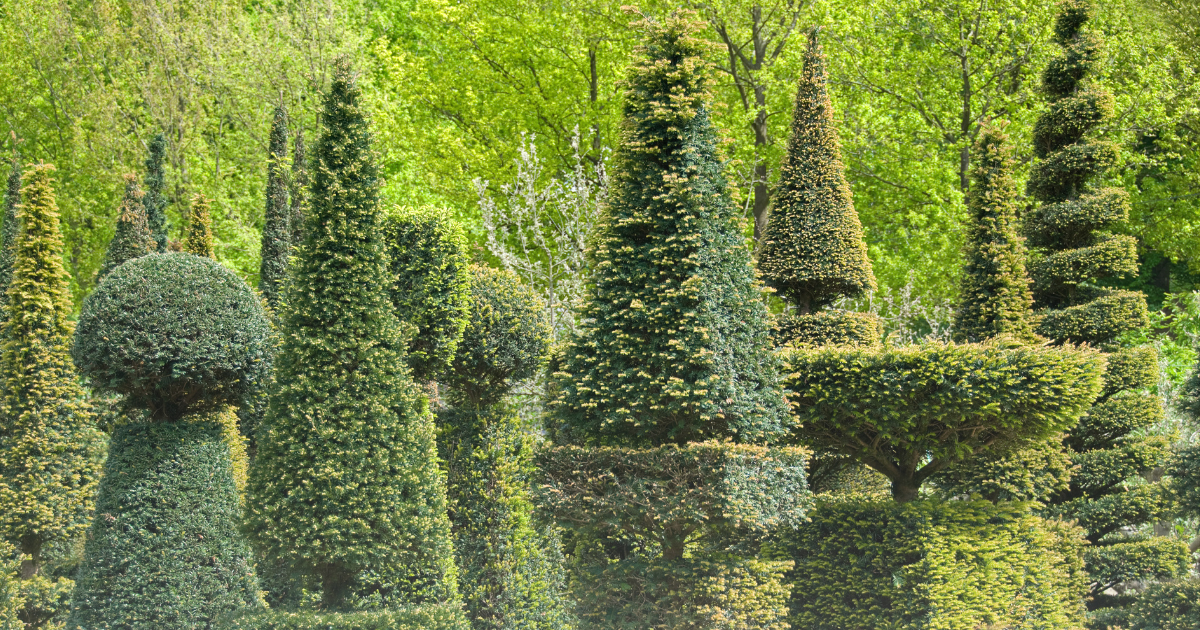 topiary.png