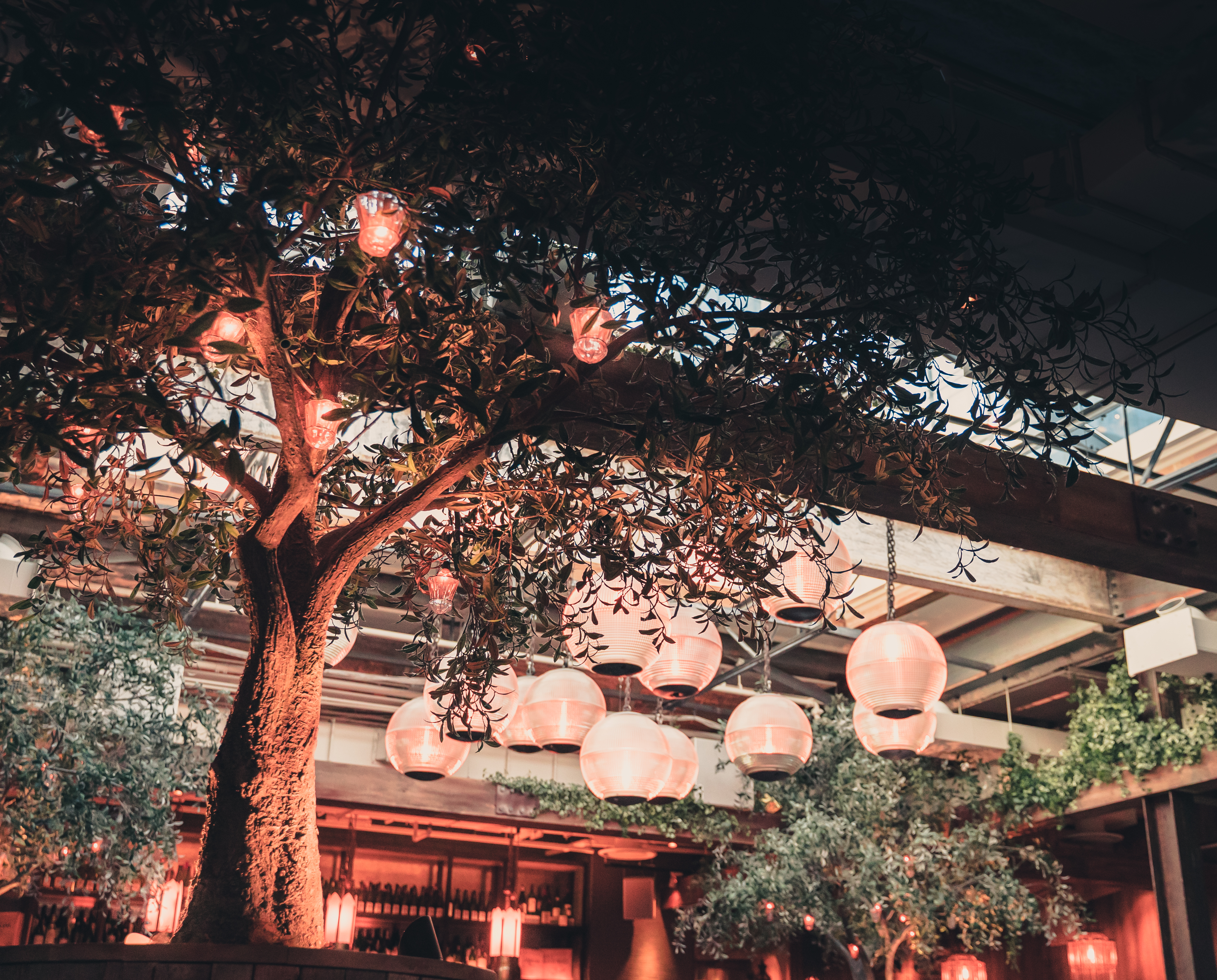 GraphQL vs. RESTful APIs: Which should you choose?