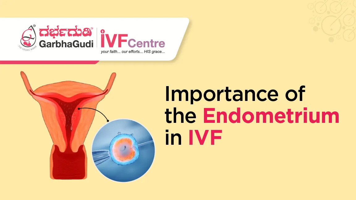 How Endometrial Health Affects Implantation Success in IVF