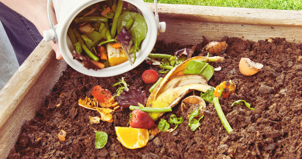 Composting Tips for Summer.png