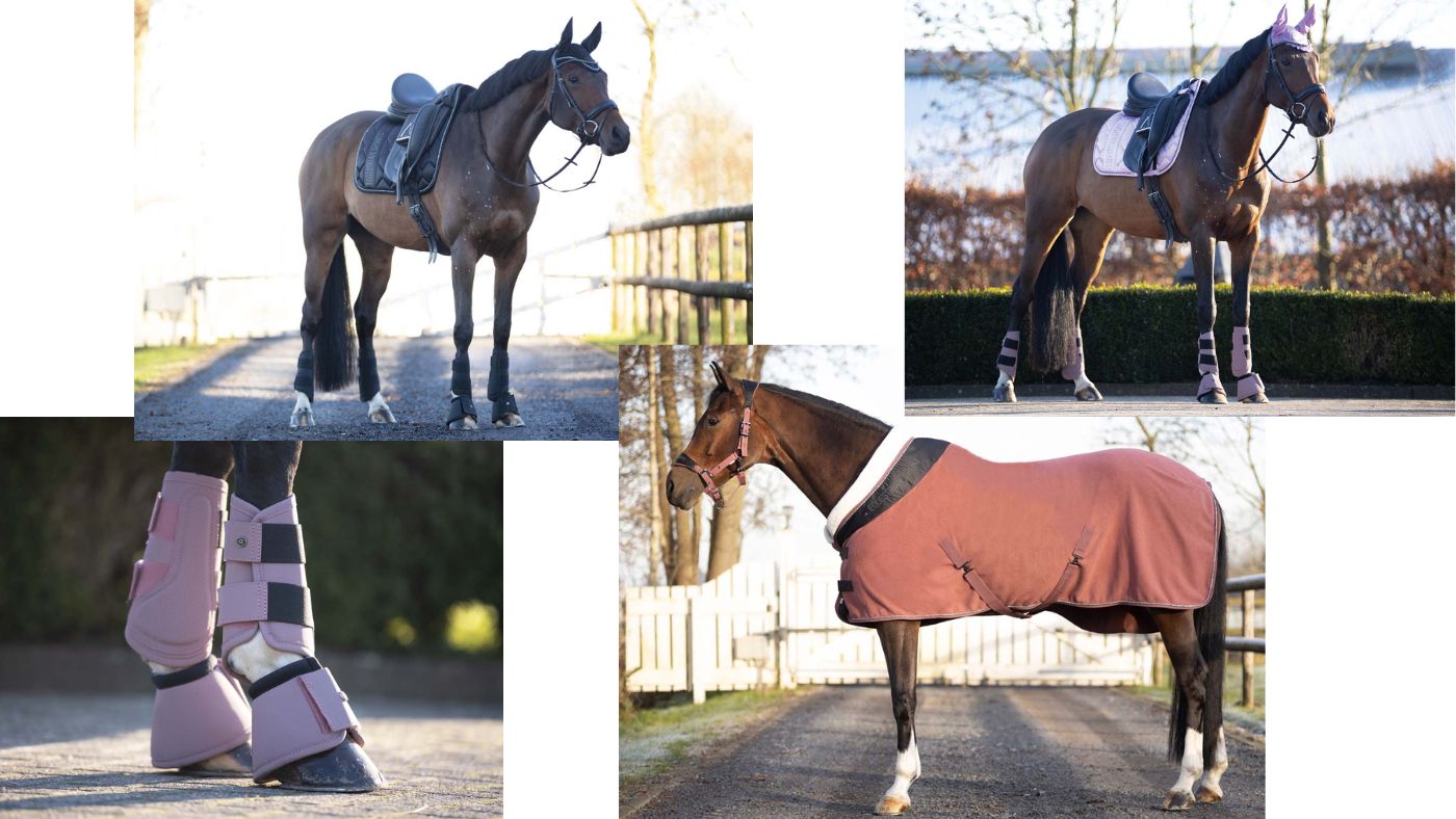 HPP_QHP Lookbook2.jpg