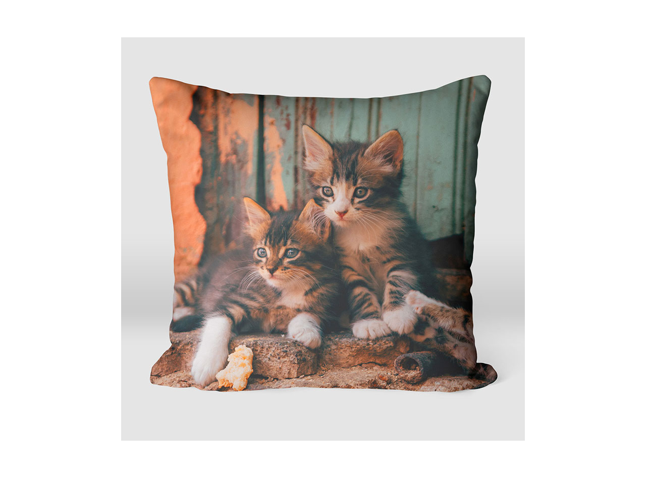 A square pillow with an image of cute kittens on it