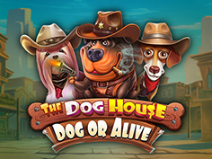 The Dog House - Dog Or Alive