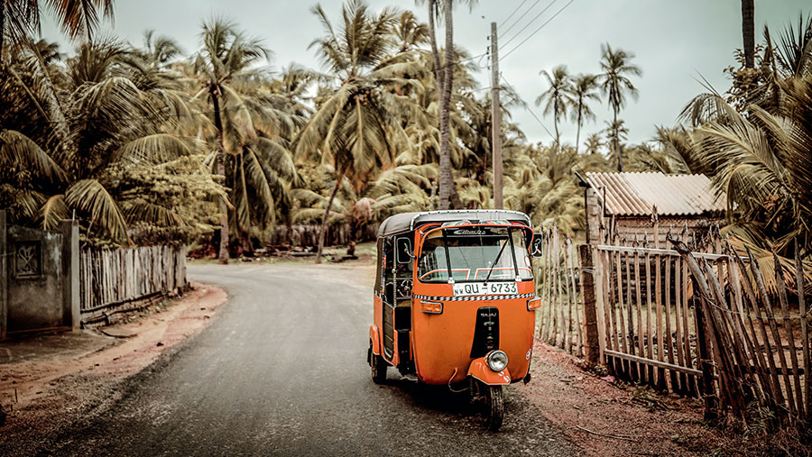 ontheroad_srilanka5.jpg