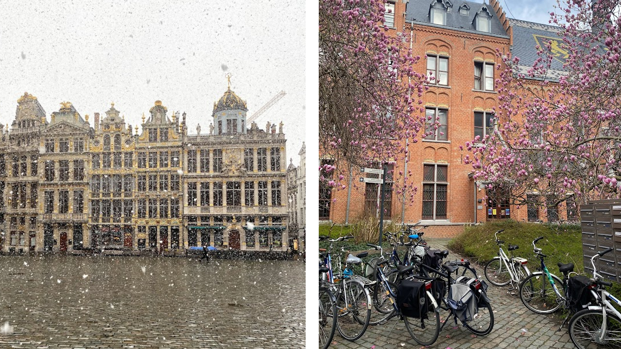 Belçika'da kış ve bahar...