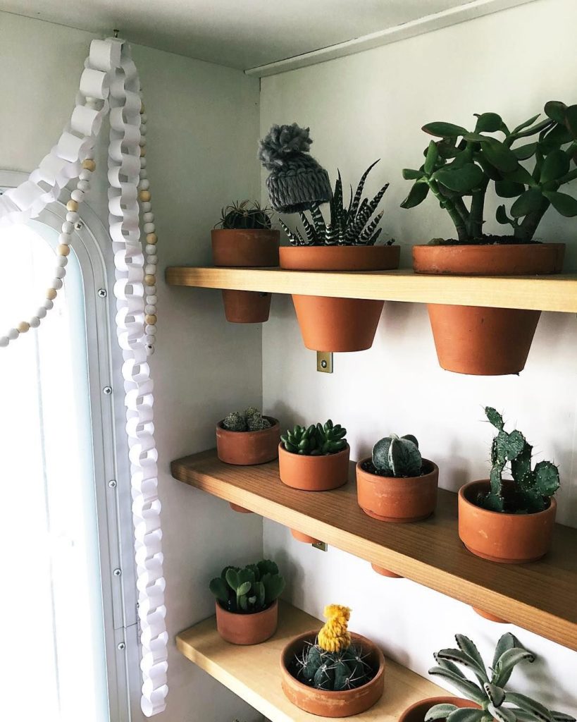 Wall-mount plant shelves are an excellent way to store plants for travel.