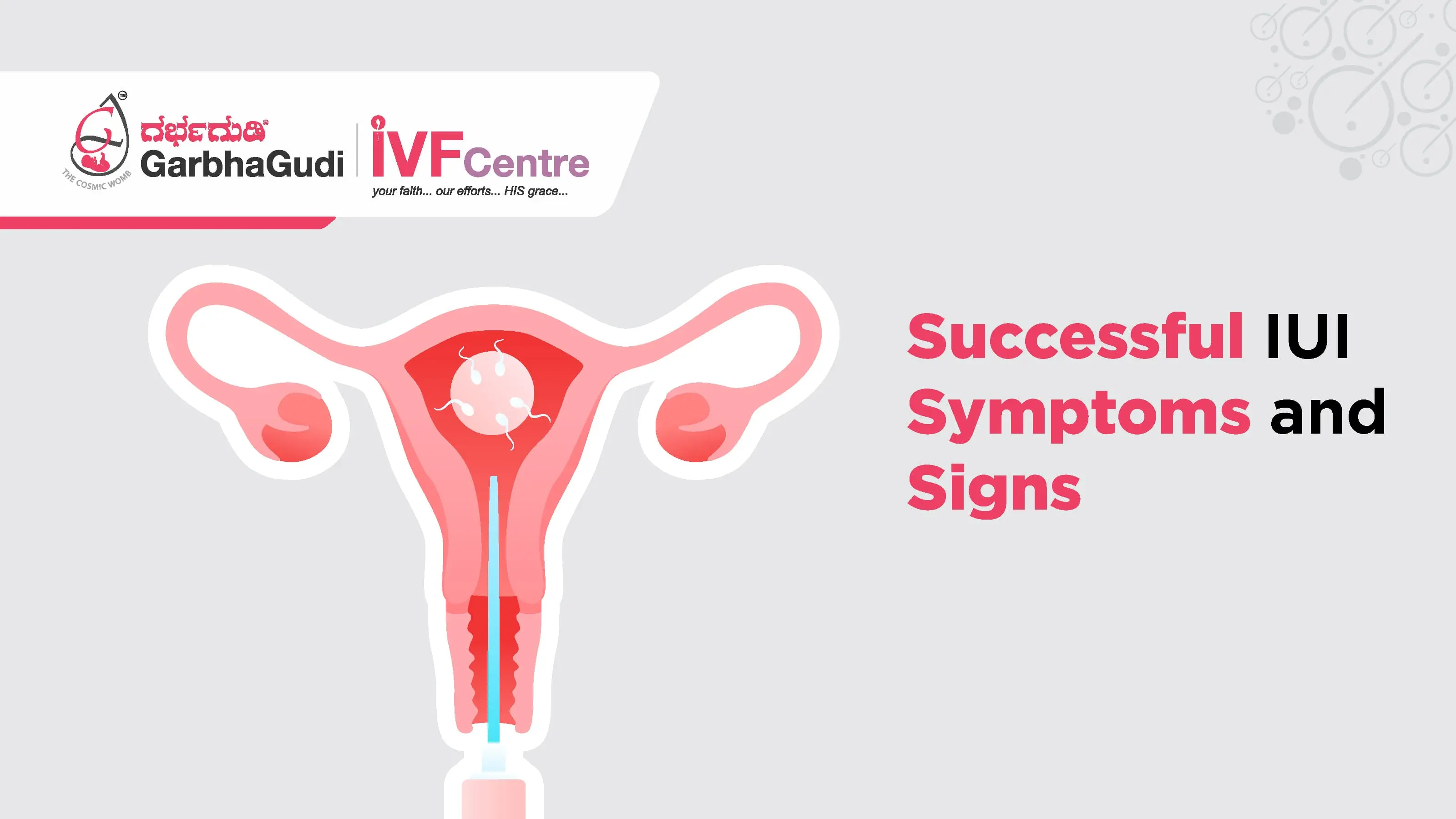 Successful IUI Symptoms and Signs: What to Expect