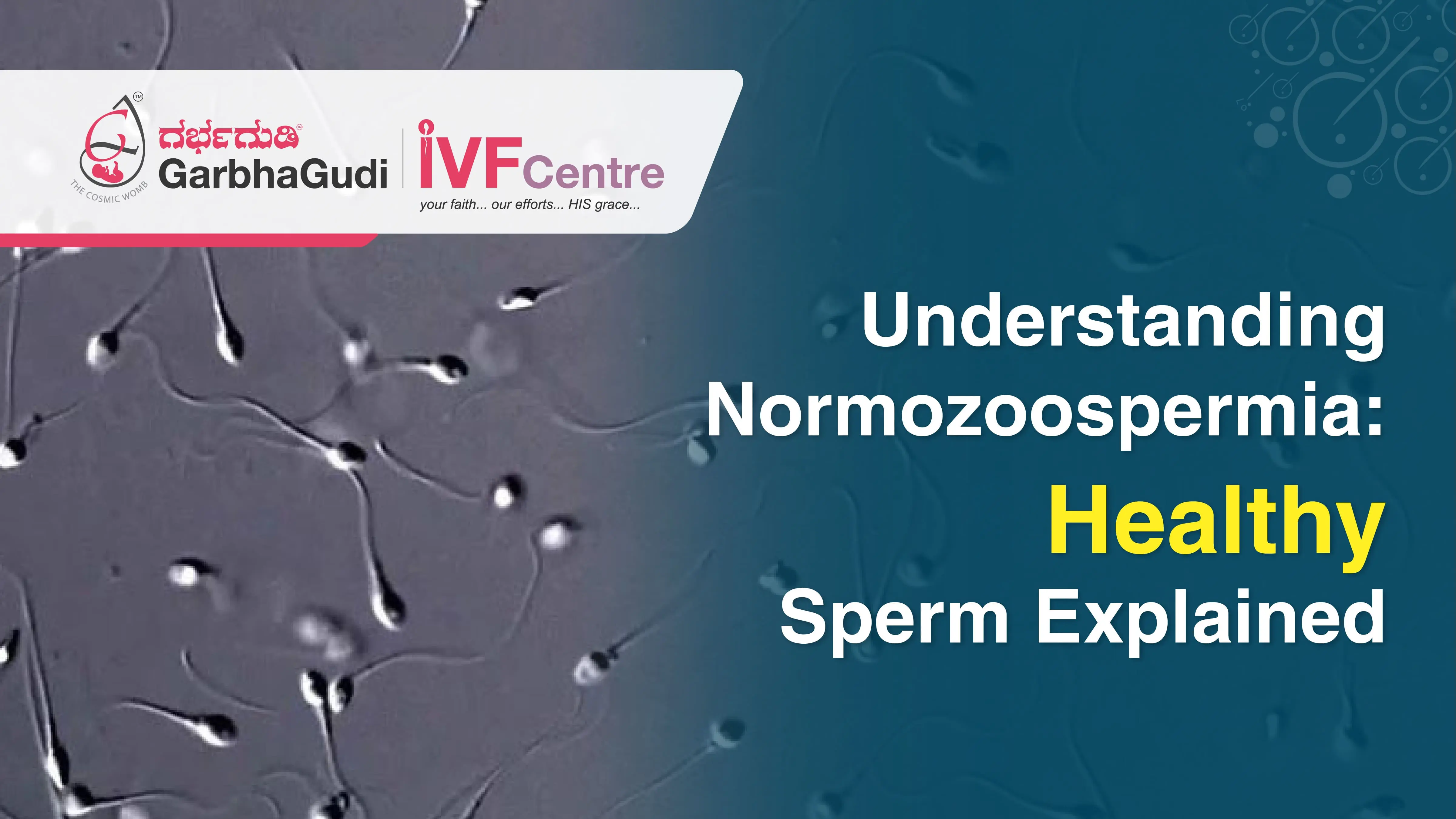 Normozoospermia: Causes, Diagnosis & Treatment | Garbhagudi