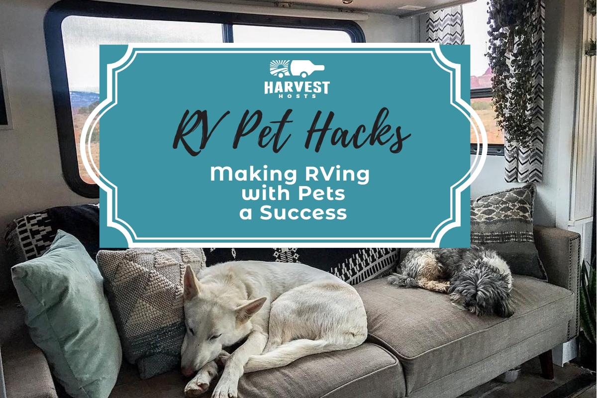 RV Pet Hacks