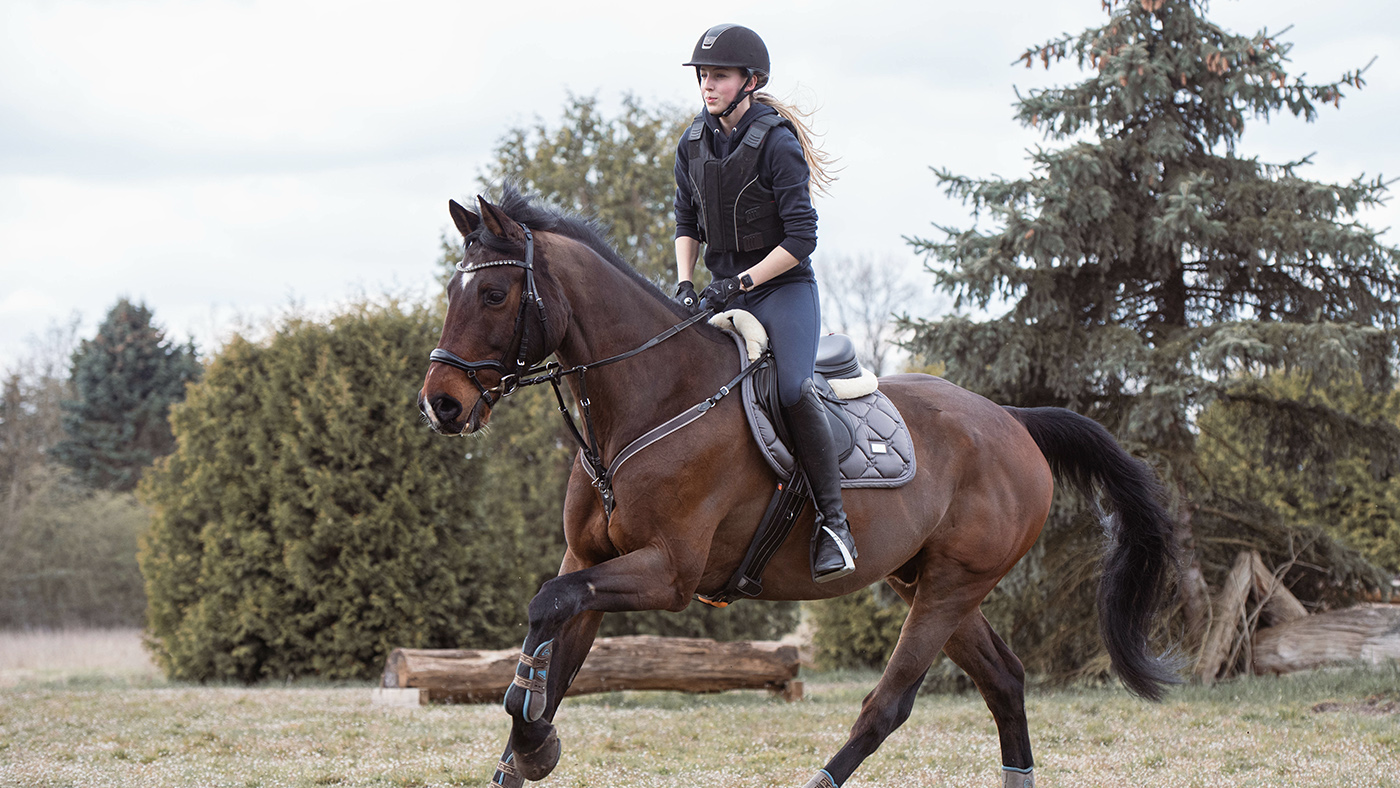 Sicherheit-beim-reiten-Beitragsbild.jpg