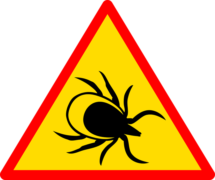 img condition