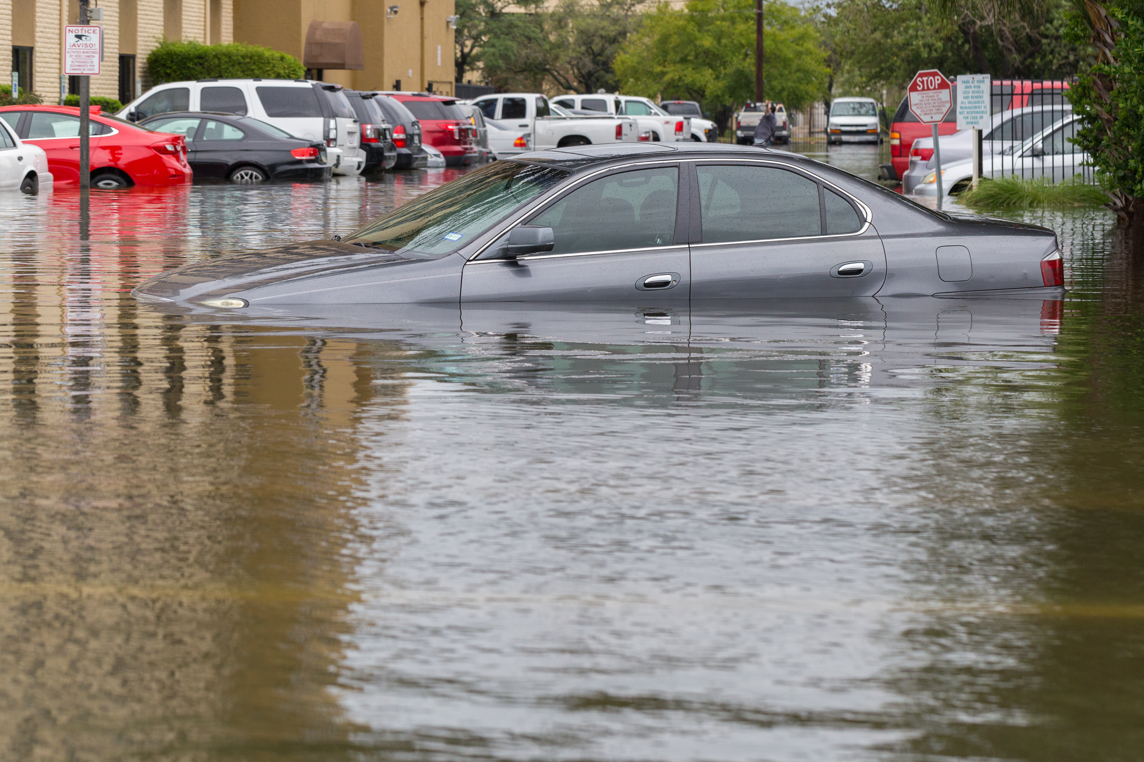 Signs of Flood Damage to Look For.jpeg