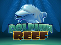 Dolphin Reef