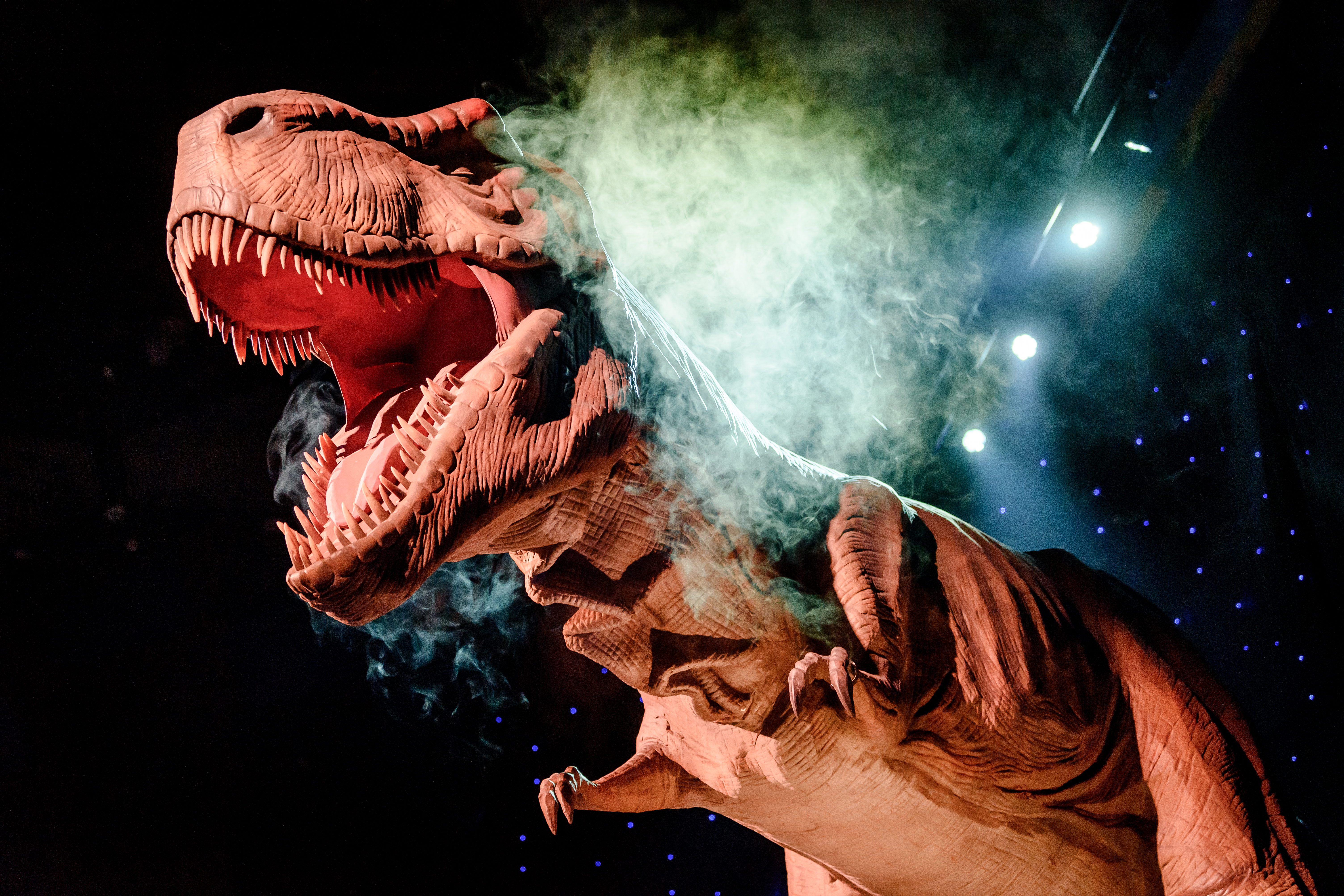 world-of-dinos-20210703_113.jpg