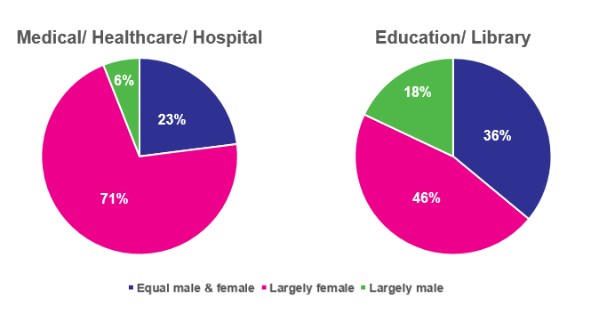 pie chart showing gender breakdown in Healthcare and Education Industry