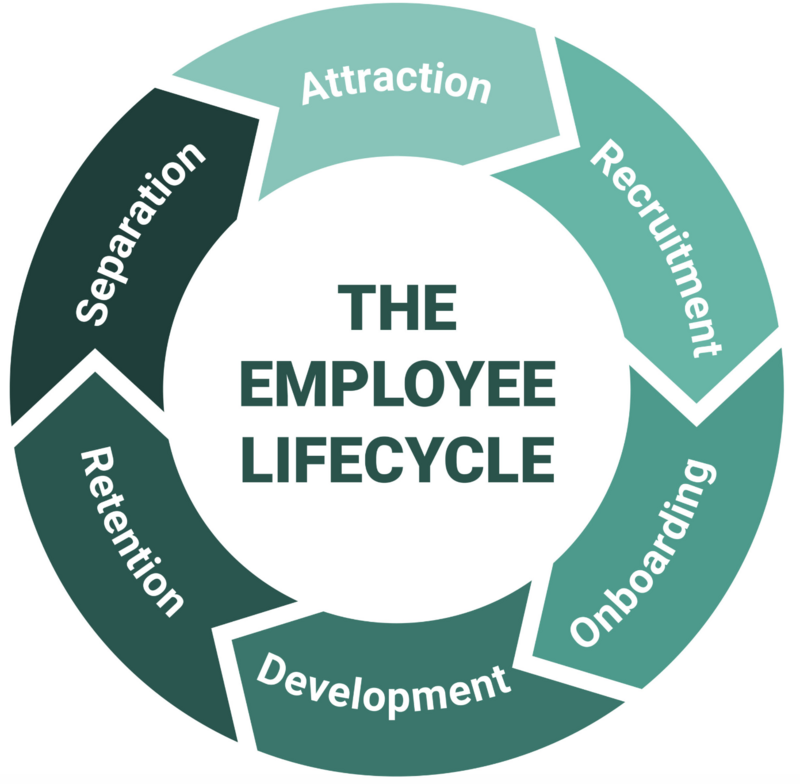 The Employee-Life-Cylce (1).png