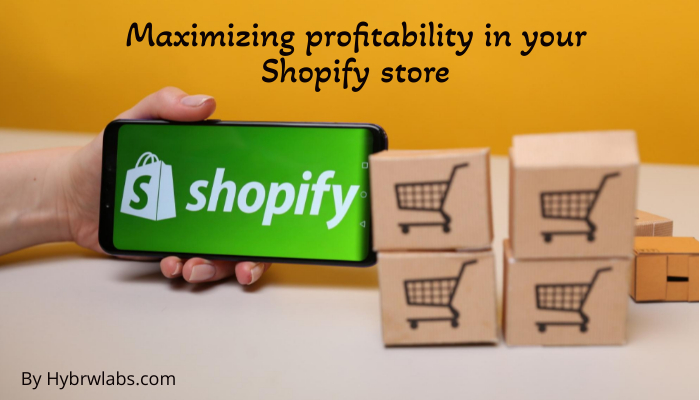 Maximizing profitability in your Shopify store.jpeg