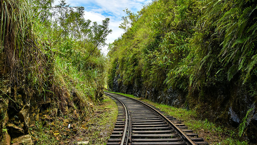 ontheroad_srilanka7.jpg