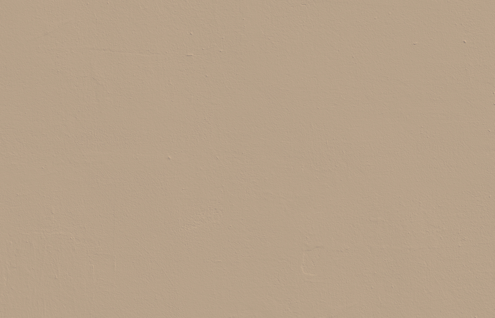 Beige 02: Light Brown Beige Paint - Matt Interior Paint