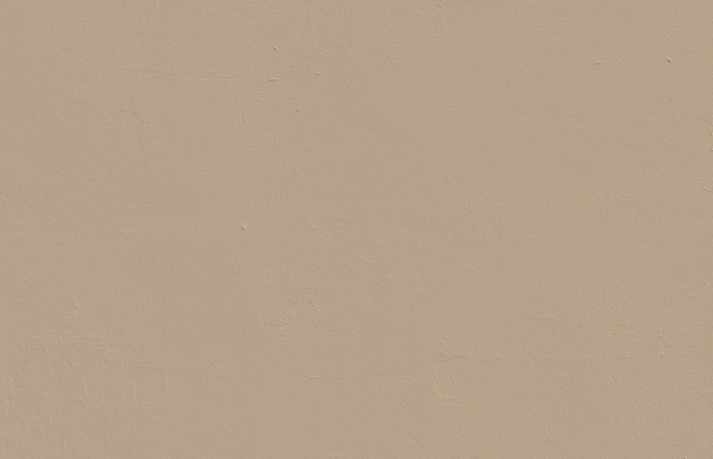 Beige 02: Light Brown Beige Paint - Matt Interior Paint | Lick