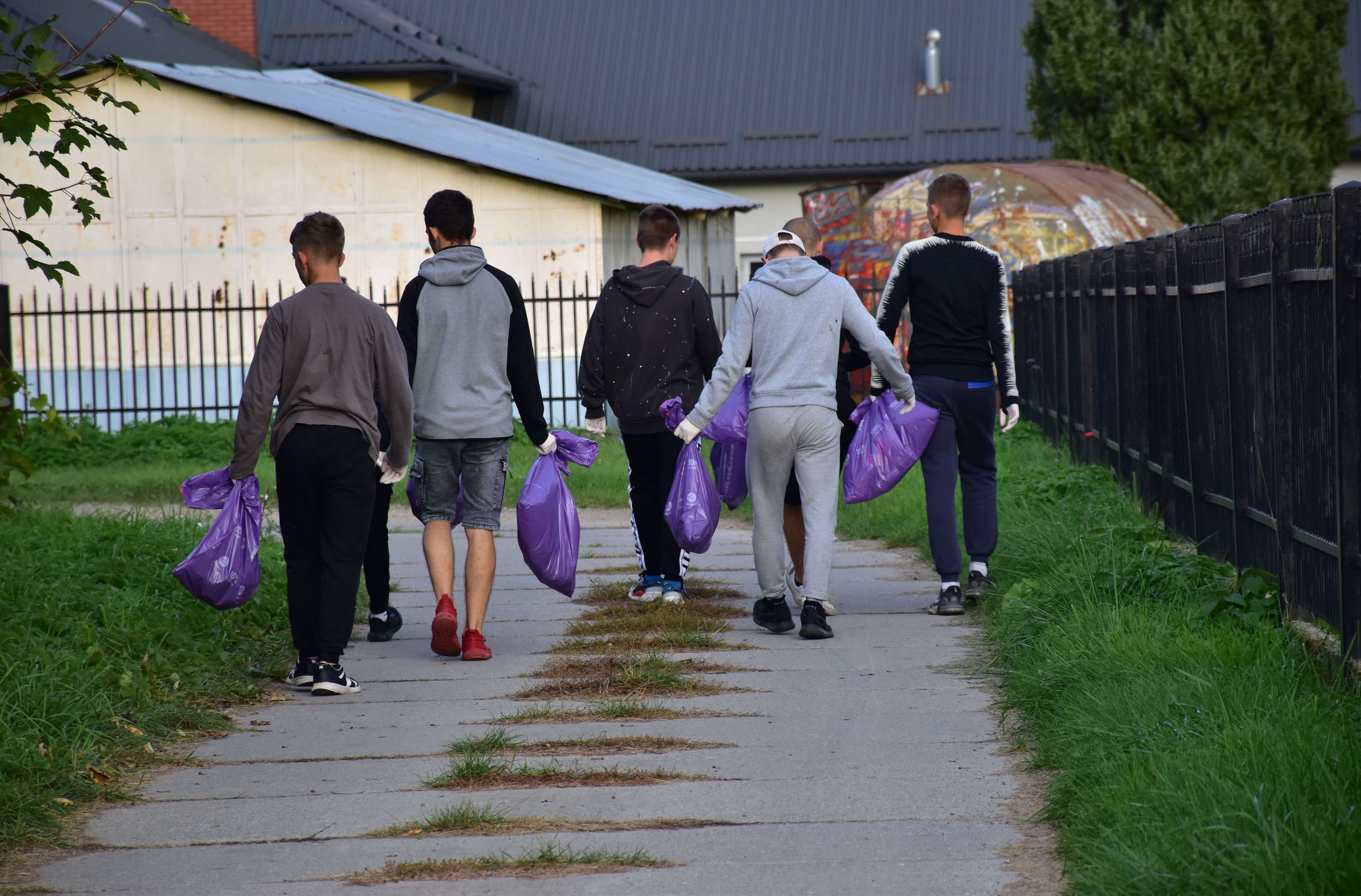 Sprzątamy dla Polski | Grupa wychowanków MOW idzie drogą wyłożoną betonowymi płytami, każdy niesie fioletowy worek wypełniony śmieciami. Po obu stronach drogi trawa, z prawej metalowe ogrodzenie. Widok na chłopców od tyłu..JPG