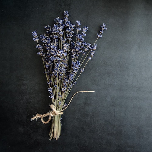 dried lavender.jfif