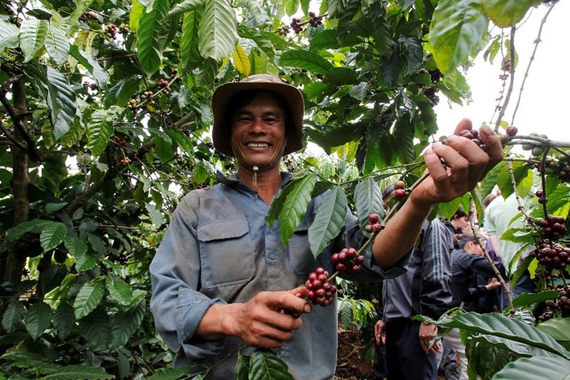 2019_vietnam-coffee-farmer_c-idh_ncu.jpg
