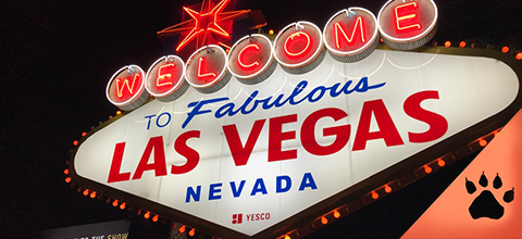 Las Vegas: l'inizio di una leggenda (Guida aggiornata al 2022) | News & Blog LeoVegas Casinò