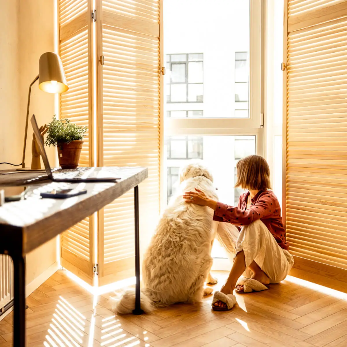 Lady sits on wooden floor in a sunlight room, her hand rests on her white dog sitting beside her, and she's leaning against wooden shutters.