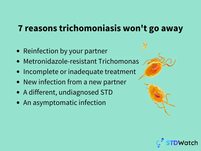 reasons-trichomoniasis-wont-go-away